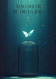 消失的蝴蝶发夹 消失的蝴蝶发夹