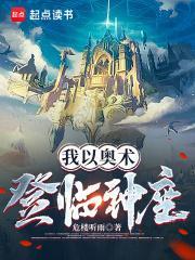 我以奥术登临神座 我以奥术登临神座