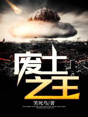 废土之王 废土之王