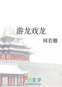游龙戏龙 游龙戏龙