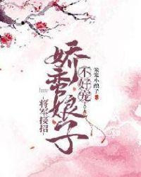 将军接招:娇蛮娘子不好宠 将军接招:娇蛮娘子不好宠