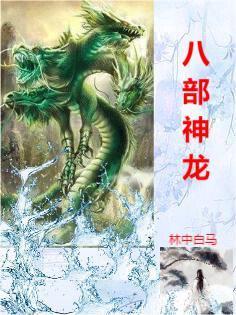 八部神龙 八部神龙